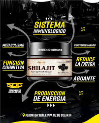 SHILAJIT X 3